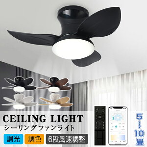 V[Ot@Cg LED V[Ot@ 8 10 12 F 6iKʒ t@tV[OCg  k t@tƖ É Rt DC[^[ @ T[L