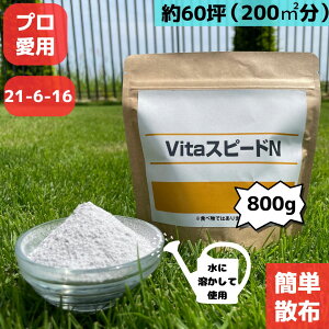 yzvitaXs[hN Ő̔엿 t Ő 엿 t̔엿 21-6-16 800O 60ؕ  ^Cv  vdl ƒp S S  엿 O[p ł̂  f