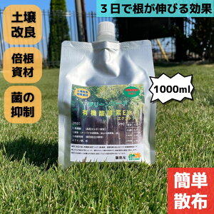 yzO[t[h L@_yfEX 1000ml Őp yǍ 1L Tb` aQ΍ aC ph St  L@엿 Ő  aC C ͍ yǍ   PH