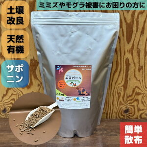 yzGRK[h  T|j 2.5kg VR L@엿 Ő ybg ~~Y O y ~~Y΍ ؔ엿 ~~Y쏜 iNW  K[fjO VRL@ ֖ O΍ 