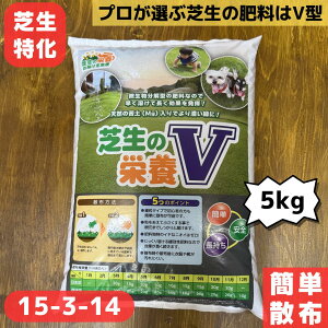 엿 Ő St Ő̉h{V 5L Ő̔엿  Őp엿 ח^Cv ǔ n VR Stp 15-3-14 y Ɍ 엿  Ɍ엿 Ɍ̉엿 f `b\ 