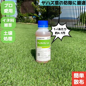 yzfBNg Ő Ő  fBNg 500ml LtG ClȎG XYmJ^r qVo nY\E St G΍ { m   J^r