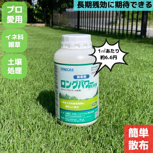 yzOp[a Ő Ő  500O Cl qVo XYmJ^r LN LtG Stgp G΍ m   St   