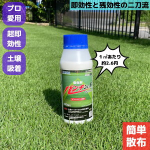 yzp`VbgtAu 500ml ŐpE P XWLgE VocgK Q  c  Ő  _ xgOX Q 쏜 ʕ St  Q