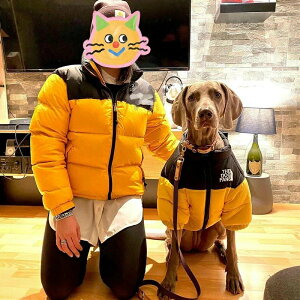   ~ S~5XL  g h _EWPbg t@Xi[ ₷  hbOEFA ^ ^ ~ U  I