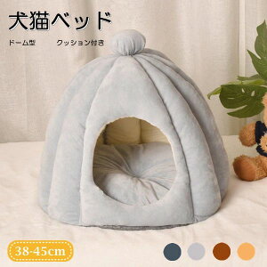 Lxbh Op p sp 4color LnEX H ~ A Lpxbh L h[^ xbh   _炩  ~