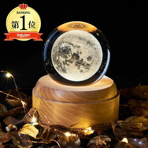 bsO IS[ Xm[h[  NX^ {[ ԐڏƖ Xm[{[ NX^{[ xbhTChv LED