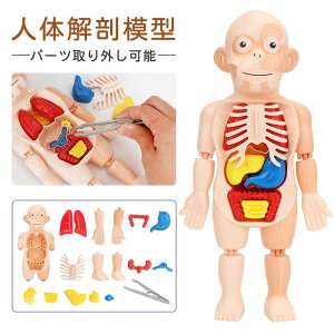 �����p�Y�� ���� ���� ���� �N���X�}�X ���� ��U�w ���� �p�[�c���O���\ �l�̉�U�w���f�� �X�^���h �m��ߋ� �a���� �q�� �v���[