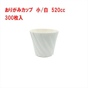 y4571253558847z 10000 y300z肪݃Jbv   yVCiSHINMEIjz