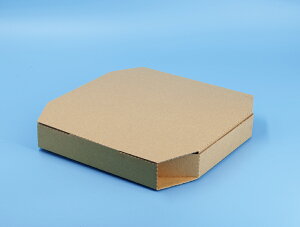 Ɩp sU ^ p` 2FWJ Ntg zCg n F y10C`sU{bNXz100 27.5cm×27.5cm×4cm 1.2~ z fo[ eCNAEg e ĝ _{[ i