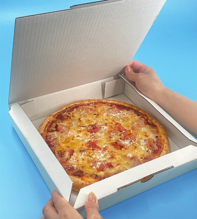 楽天市場 業務用 日本製 ピザ箱 白無地 プレーンタイプ 10インチピザボックス 100枚入 ピザの箱 宅配 デリバリー テイクアウト ピザパッケージ 紙容器 使い捨て 持ち帰り ピザケース ピザケース ピザ直径26cmまでok 宅配マイスター