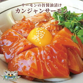 【新大久保韓国海鮮テジョンデ】カンジャンサーモン　惣菜　おかず　海鮮料理　新鮮　鮮度抜群　手土産