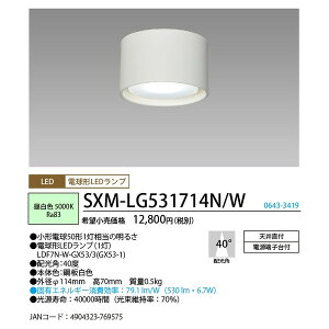 NECCeBOSXM-LG531714N/WLED^_EV[O Fp^Cv wSXMLG531714NWx