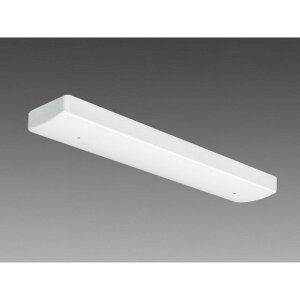 お取り寄せ 納期回答致します本体のみ EL-LYWP4002 AHJ 天井直付専用 業務用浴室灯 2灯用 防水ケース入り ステンレス製『ELLYWP4002AHJ』