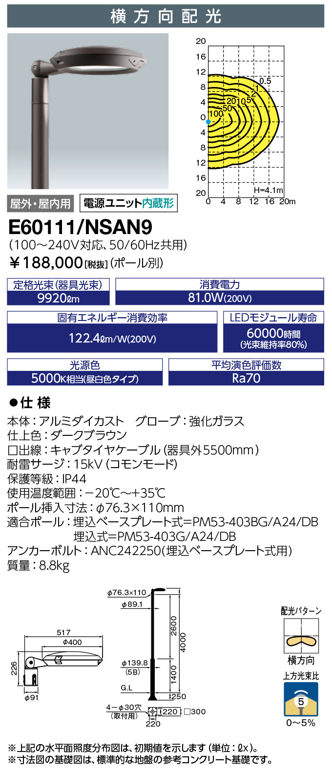 岩崎電気  E60111 NSAN9　 LEDポールライト レディオック エリア テンド  水銀ランプ300W相当 昼白色タイプ (E60111NSAN9)