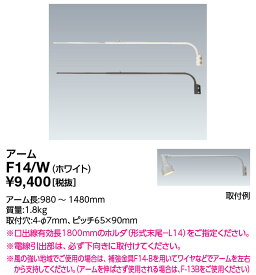 ポイント2倍 岩崎電気 (IWASAKI) 照明器具サイン広告照明 F14/W 投光器 アクセサリ アーム (F14W)