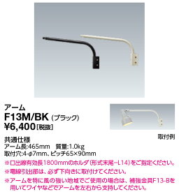 ポイント2倍 岩崎電気 F13M/BK (F13MBK) アーム アイ ランプホルダ・レディオック フラッド ポップ用