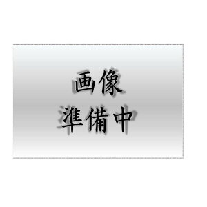 ���� DG6119N�@�l�I���^���v���[�g