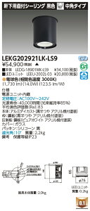  LEKG202921LK-LS9 V[O_ECg 2000jbg`DLCL 󒍐Y