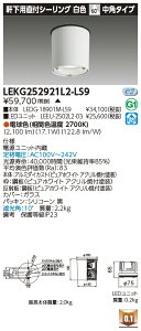 ���� LEKG252921L2-LS9 �V�[�����O�_�E�����C�g 2500���j�b�g�����`DL����CL �󒍐��Y