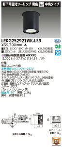 ���� LEKG252921WK-LS9 �V�[�����O�_�E�����C�g 2500���j�b�g�����`DL����CL �󒍐��Y