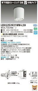 ���� LEKG252921WW-LS9 �V�[�����O�_�E�����C�g 2500���j�b�g�����`DL����CL