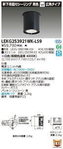 ���� LEKG253921WK-LS9 �V�[�����O�_�E�����C�g 2500���j�b�g�����`DL����CL �󒍐��Y