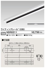 東芝 NDR0211 ライティングレール VI形（白色/ホワイト）1m 配線ダクトレール