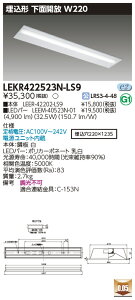 �u�@�l�E�l���}�v ������ �[���񓚒v���܂�LED LEKR422523N-LS9 �yLEKR422523NLS9�z�Ɩ� LED�x�[�X���C�g TENQOO �񒲌��^�C�v