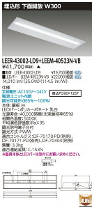  LEER-43002-LD9 + LEEM-40523N-VB LEDx[XCg (LEER43002LD9LEEM40523NVB) ʊJ