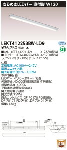������ �[���񓚒v���܂�LED ���� LEKT412253BW-LD9 (LEKT412253BWLD9) TENQOO���tW120����߂����� LED�x�[�X���C�g �󒍐��Y