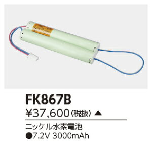 FK867B (FK867B) ��C�p�o�b�e���[ ���������z���i