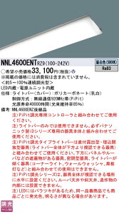 �p�i�\�j�b�N NNL4600ENTRZ9 LB40�` 6900lm PiPit���� �����F ���C�g�o�[