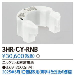 ���Ń��C�e�b�N�@3HR-CY-RNB (3HRCYRNB�j��C�p�o�b�e���[