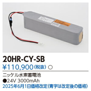 ���Ń��C�e�b�N�@20HR-CY-SB (20HRCYSB�j�M�����u�p��C�p�o�b�e���[