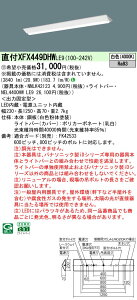 �p�i�\�j�b�N XFX449DHWLE9 (NNLK42123+NEL4400HWLE9)