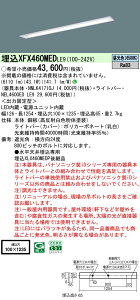 �p�i�\�j�b�N XFX460MEDLE9 (NNLK41710J+NEL4600EDLE9)