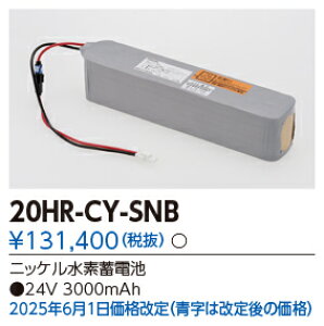 ���Ń��C�e�b�N 20HR-CY-SNB (20HRCYSNB�j��C�p�o�b�e���[