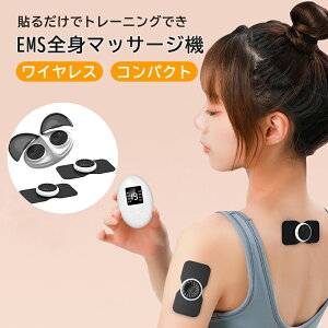 ySS50%OFFz EMS g[jO ؃g \邾 CX 8ރ[h 19iKx ؃gObY s|Cg [dEۊǃP[Xt  w  ʑΉ GNTT