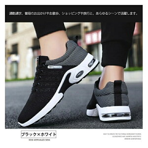 StV[Y u SnǂlCv Xj[J[ Y  XpCNX L y JWA EH[LO ~ ^C    ʋC EH[LO jO V[