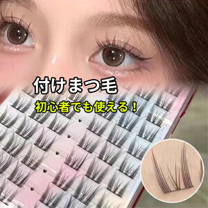 t܂уubN p܂ e 2_Zbg ܂ t܂ ACbV |CgACbV ܂GNXe  1Zbg/12yA x[XCN CNAbv