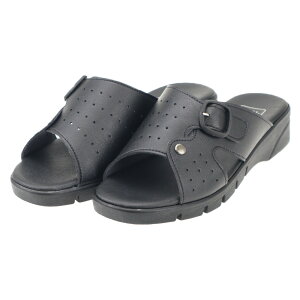 C`}c 2566 ubN lEV fB[X wl ̓ Mtg Y wbv i OΉ O󂫃T_ NEUSHI E^ ItBX OZ[ oht