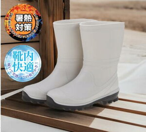 yM΍zy2024VizOiS wl m LT03 zCg fB[X ΍ ȃ\[ M΍ Ռz Ch Ɨp {Y _ K[fjO  _