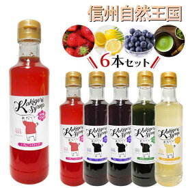 無添加・無着色 信州自然王国かき氷シロップ 260g×6本セット