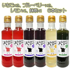 無添加・無着色 信州自然王国かき氷シロップ 260g×6本セット
