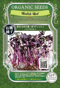 L@qԃfBbViԃJC卪jXvEg15g