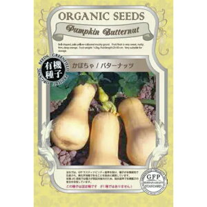 �L�@��q�@�o�^�[�i�b�c���ڂ���̎�20��