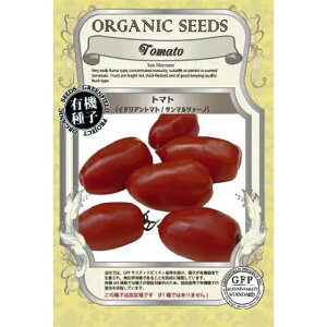 �L�@��q�C�^���A���g�}�g �T���}���c�@�[�m�̎�12��