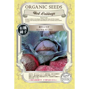 �L�@��q�ԃL���x�c ���C�����p�[�v���̎��60��