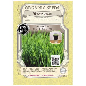 L@qEB[gOX 25g X[W[W[Xp̎